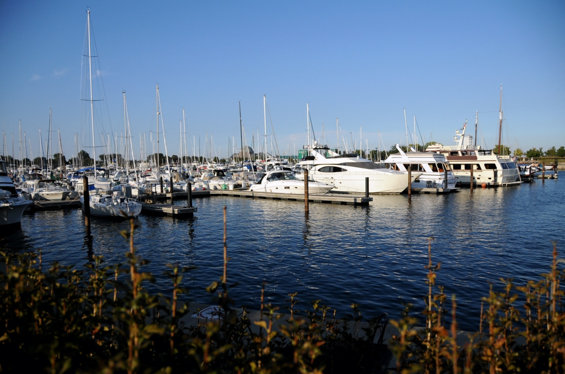 Boats in Chicago