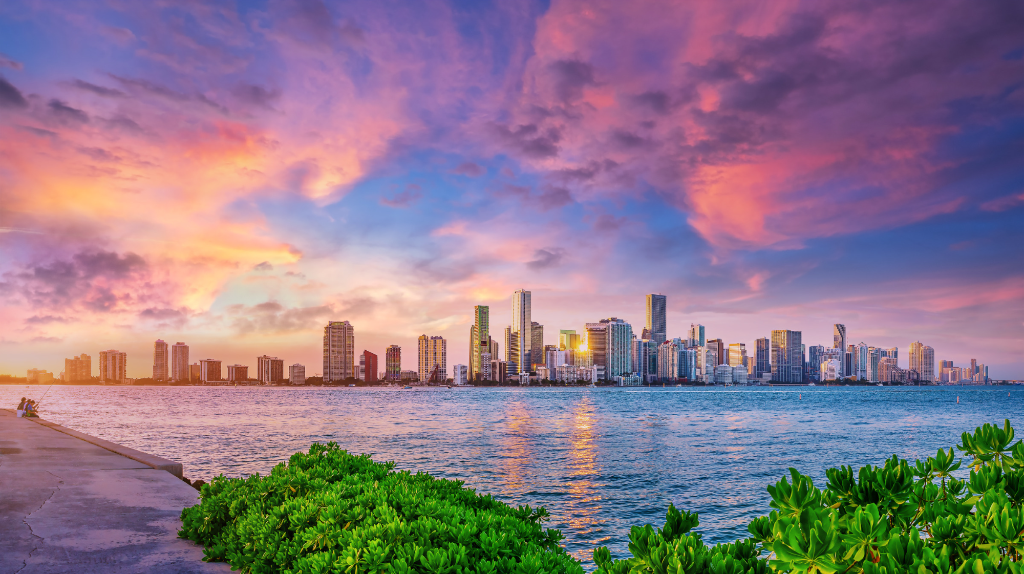 Vista de Miami